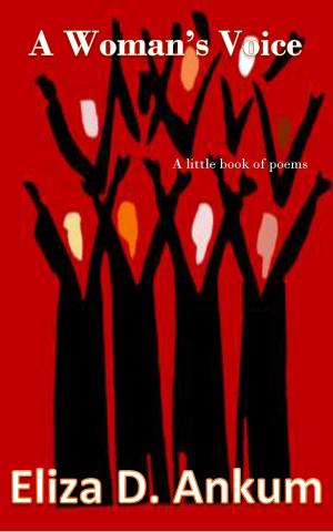 Cover of the book A Woman's Voice by Jon Roberts