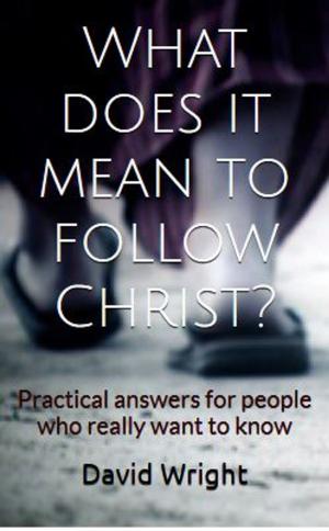 Cover of What Does it Mean to Follow Christ?