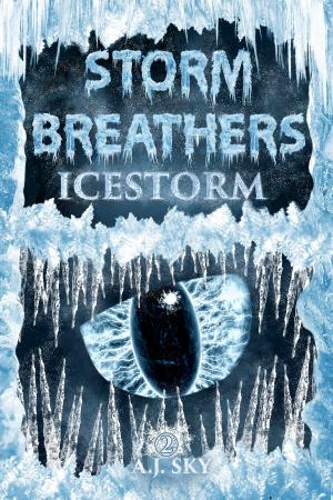Cover of the book Icestorm by Ruben Garcia Cebollero