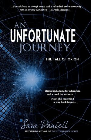 Cover of the book An Unfortunate Journey by William Schlichter