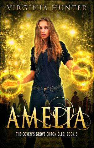 Cover of the book Amelia by Paul Westwood