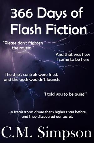 bigCover of the book 366 Days of Flash Fiction by 