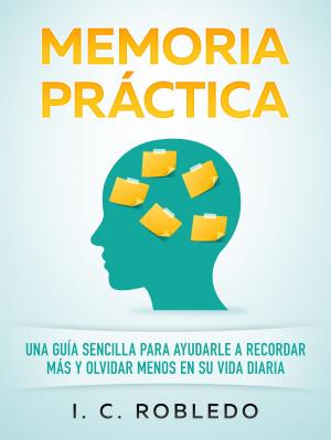 Book cover of Memoria Práctica