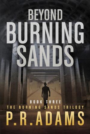 Cover of the book Beyond Burning Sands by T.D. Reed