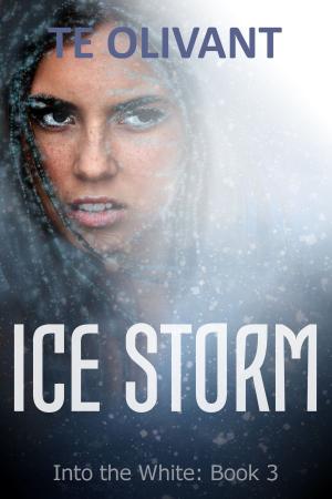 Cover of Ice Storm