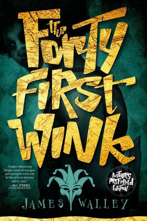 Cover of the book The Forty First Wink by Clive Barker