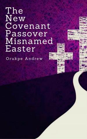 Cover of the book The New Covenant Passover Misnamed Easter by Ugo Okeke