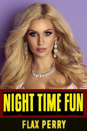 Book cover of Night Time Fun