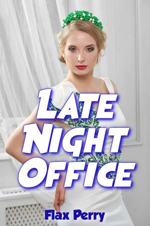 Cover of the book Late Night Office by Flax Perry