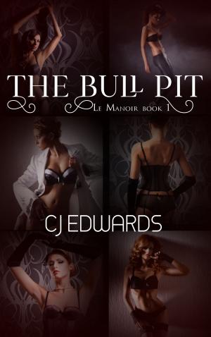 Cover of the book The Bull Pit by Virginie Louvois