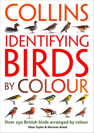 Cover of the book Identifying Birds by Colour by Robert Wright