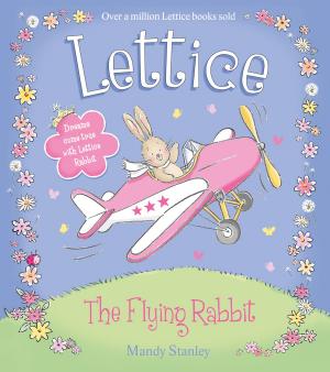 Cover of the book The Flying Rabbit (Lettice) by Megan Cole