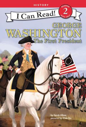Book cover of George Washington: The First President