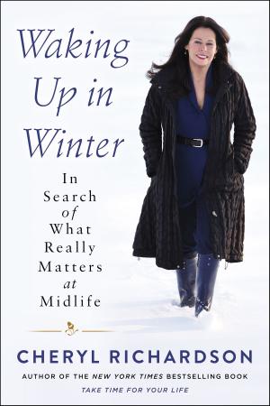 Cover of the book Waking Up in Winter by Coleman Barks, John Moyne