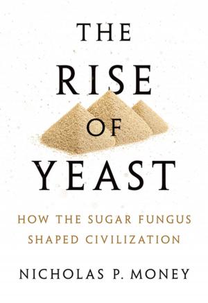 Cover of the book The Rise of Yeast by David Potter