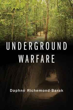 Cover of the book Underground Warfare by G. Edward White