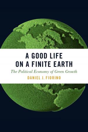 Cover of the book A Good Life on a Finite Earth by Marina Belozerskaya