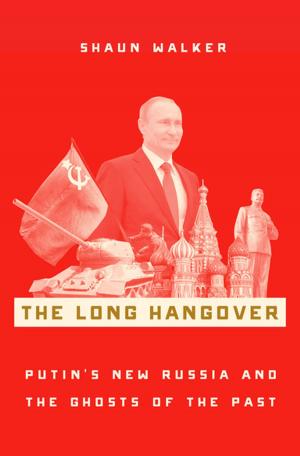 Cover of the book The Long Hangover by Robert M. Bastress, Jr.