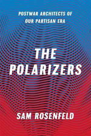 Cover of the book The Polarizers by Katie Peterson