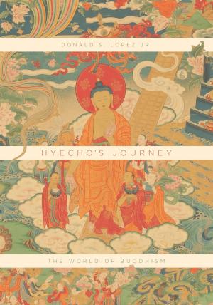 Cover of the book Hyecho's Journey by Philippe Carrard