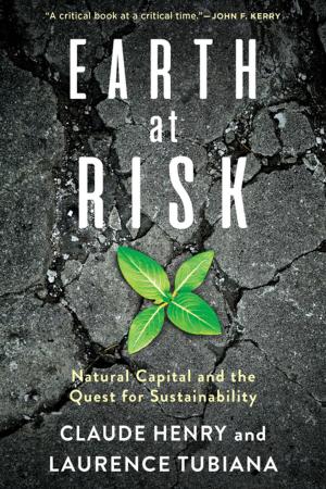 Cover of the book Earth at Risk by Kojin Karatani
