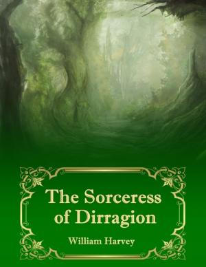 Cover of the book The Sorceress of Dirragion by Vladislav A. Yashayev, Professor Alexander V. Gagarin