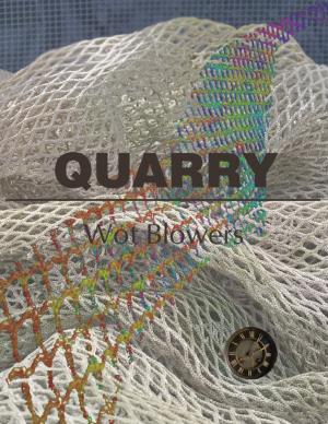Cover of the book Quarry by Shawn Berry