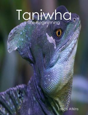 Cover of the book Taniwha: The Begininning by Tony Phillips