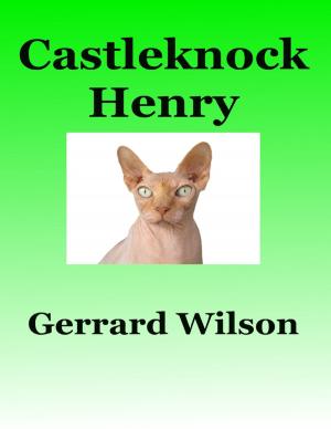 Cover of the book Castleknock Henry by Carmel M. Portillo