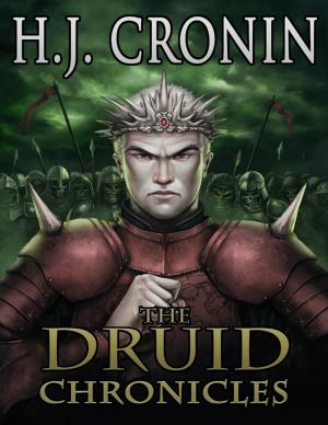 Cover of the book The Druid Chronicles by Melanie Zetterberg
