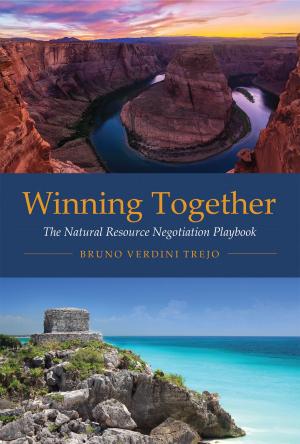 Cover of the book Winning Together by Thomas Princen