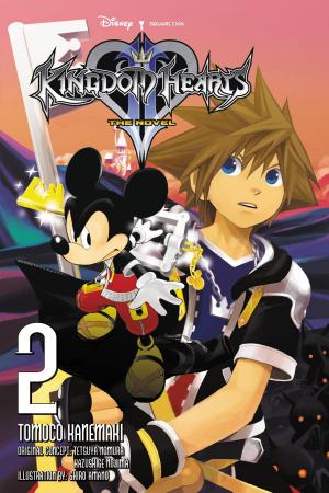 Cover of the book Kingdom Hearts II: The Novel, Vol. 2 (light novel) by Isuna Hasekura, Keito Koume