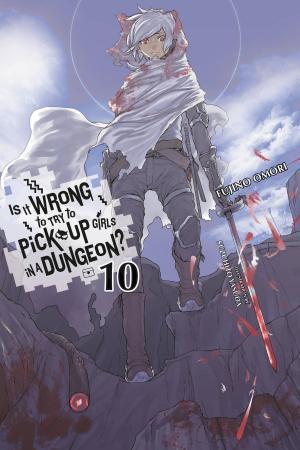 Cover of the book Is It Wrong to Try to Pick Up Girls in a Dungeon?, Vol. 10 (light novel) by Cassandra Clare, HyeKyung Baek