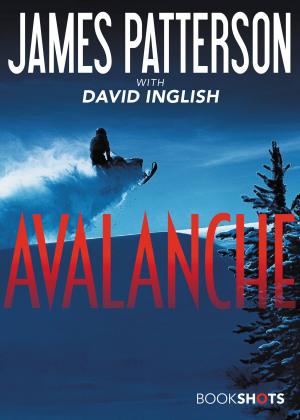 Cover of the book Avalanche by Kate Zuckerman, Tina Rupp