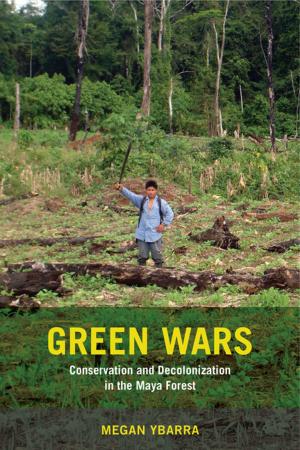 Cover of the book Green Wars by Gennifer Weisenfeld