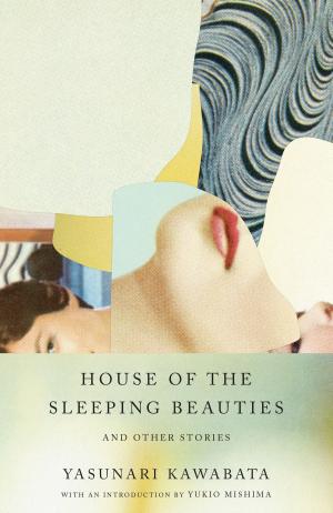 Book cover of House of the Sleeping Beauties and Other Stories