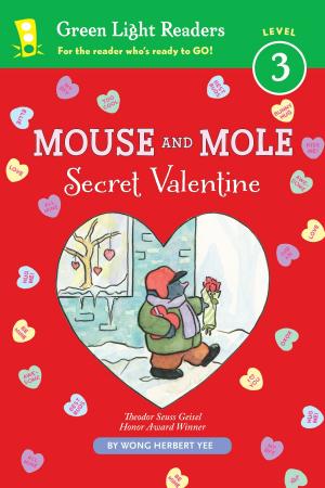 Book cover of Mouse and Mole: Secret Valentine