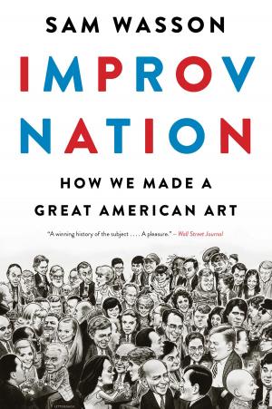Cover of the book Improv Nation by Karen Klami
