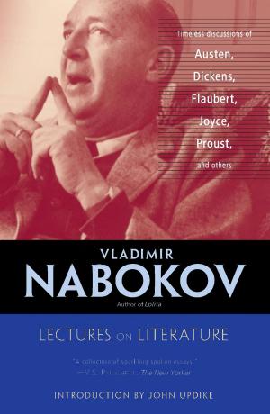 bigCover of the book Lectures on Literature by 