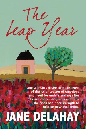 Book cover of The Leap Year