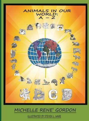 Book cover of Animals In Our World