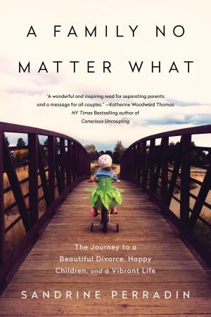 Cover of the book A Family No Matter What by Debra K. Carter