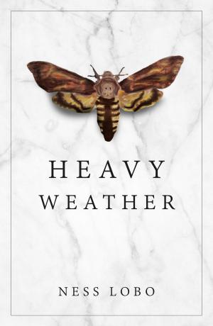 bigCover of the book Heavy Weather by 