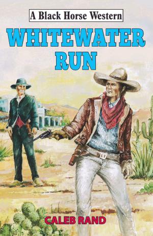Cover of the book Whitewater Run by Paul McConnell