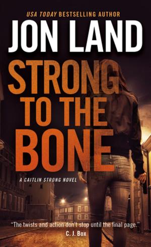 Cover of the book Strong to the Bone by L. E. Modesitt Jr.