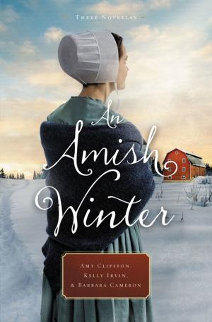 Cover of the book An Amish Winter by Rick Warren, Dr. Daniel Amen, Dr. Mark Hyman