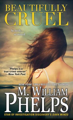 Cover of the book Beautifully Cruel by Caitlin Rother
