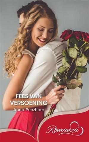 Cover of the book Fees van versoening by Marijke Greeff