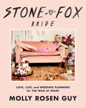 Book cover of Stone Fox Bride