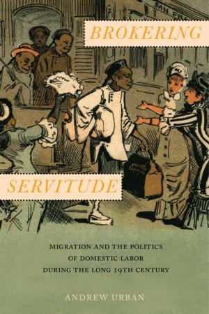 Cover of the book Brokering Servitude by David Kieran